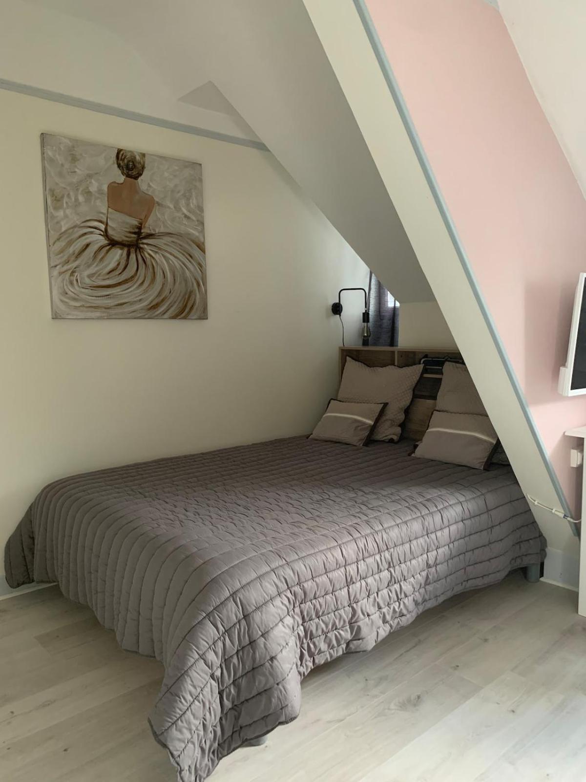 Pyrene Holidays - Heracles - Residence Paisible A 6Mn A Pied Des Thermes Bagnères-de-Bigorre Quarto foto